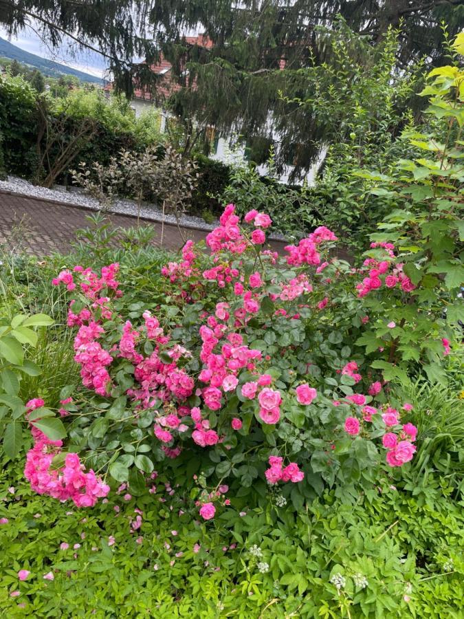 באד גלייכנברג Freiblick 1 Bad Glbg Mit Garten Top1 מראה חיצוני תמונה